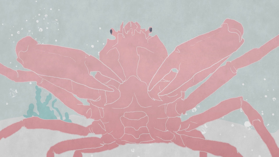 10 seconds animation “Crab” / 10秒アニメーション “かに”